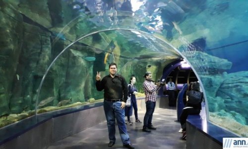 Akva Floriya: İstanbulun nəhəng tematik akvariumu - FOTOREPORTAJ