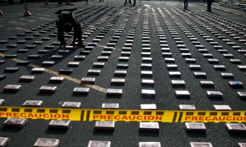 Kolumbiyada 104 kokain laboratoriyası məhv edilib