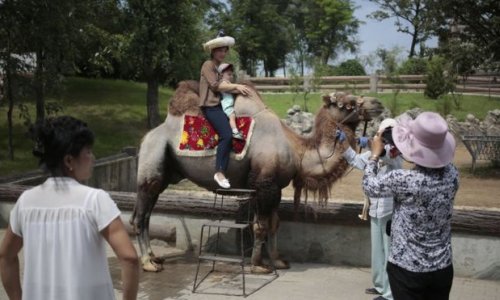 North Korea's national zoo: Donkeys, dinosaurs and dogs
