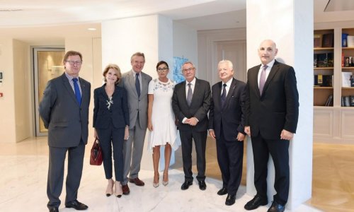 Mehriban Aliyeva meets delegation led by French Assembly member