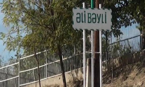Tovuzda erməni tələsi - heyvanlar minaya düşdü - VİDEO