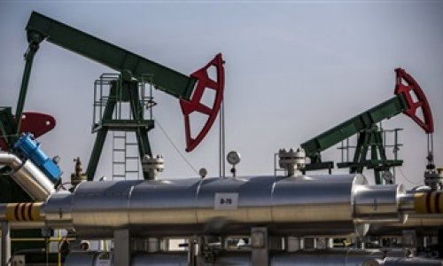 Azerbaijani oil price nears $54