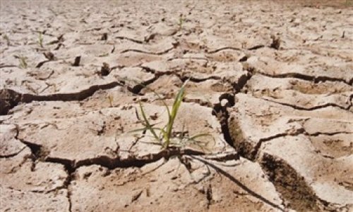Catastrophe looms as 850,000 go hungry, says UN - Madagascar drought