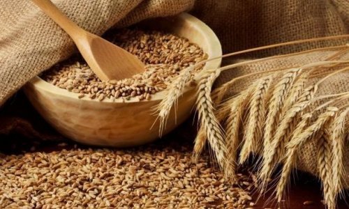 Азербайджан закупит пшеницу у Казахстана