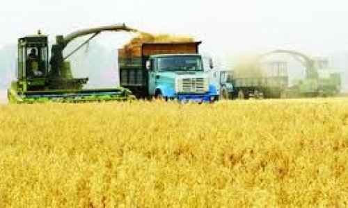 Azerbaijani agriculture supplies to Russia in Jan-Aug up by 25%