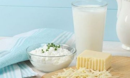 Azerbaijan creates new brand of dairy products