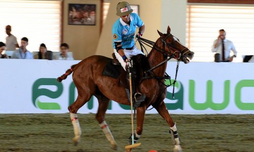 European polo championship to be held in Azerbaijan in 2020