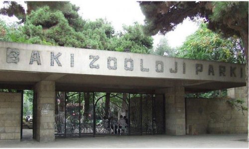 Bakı Zooparkına Çexiyadan maraqlı hədiyyə