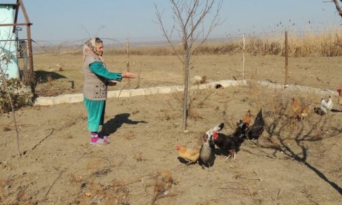 Cocuq Mərcanlıda qəsəbə tikintisi iyunda bitəcək