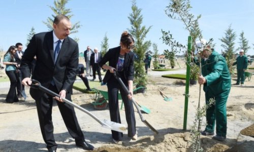 Prezident ağacəkmə aksiyasında iştirak edib