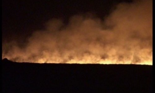 Армяне устроили пожар на оккупированных территориях Азербайджан