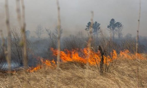 Şəki dağlarını alov bürüyüb