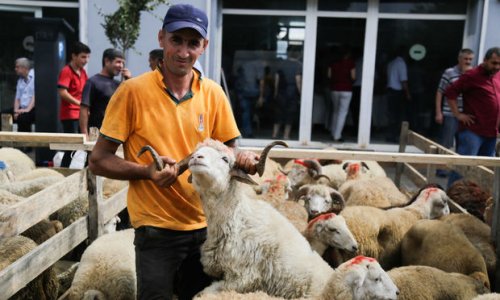 Bakıda Qurban bayramı keçirilir – FOTOREPORTAJ