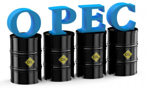 OPEC neft bazarı ilə bağlı rəqəmləri açıqladı