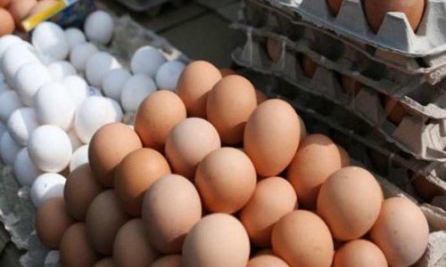 Azərbaycanda yumurta bahalaşdı