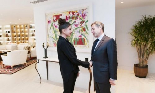 First VP Mehriban Aliyeva meets with Nicolas Sarkozy