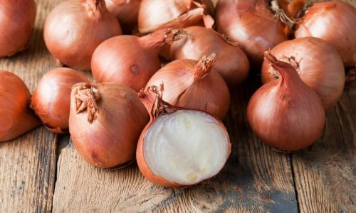 Turkey allows import of Azerbaijani onions