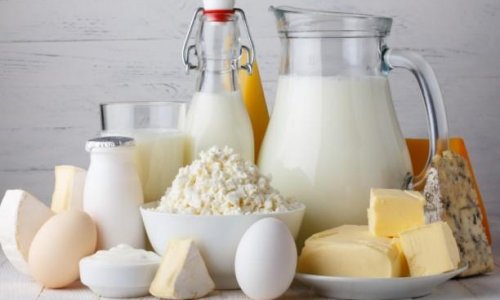 Azerbaijan may tighten fight against counterfeit dairy products 