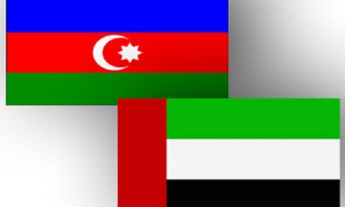 Foreign Ministry official: Azerbaijan is strategic partner for UAE