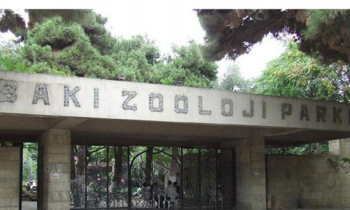 Bakı Zooparkı bağlandı - VİDEO