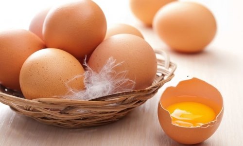 Яйца опасны для здоровья - ВИДЕО
