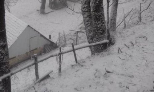 В Гахском районе выпал снег - ФОТО