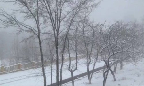 В Шемахе идет снег - ВИДЕО