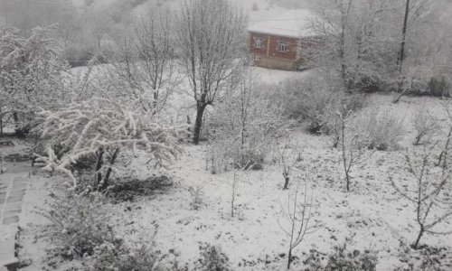 В Азербайджане выпал снег - ВИДЕО