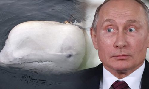 Putin dünyanı ŞOKA SALDI - Son anda gördülər - FOTOLAR