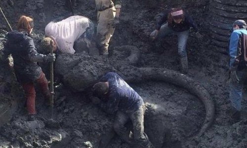 Ər və arvad tarlanı şumlayarkən tapdı - Bu tapıntı ölkədə ŞOK effekti yaratdı - FOTOLAR