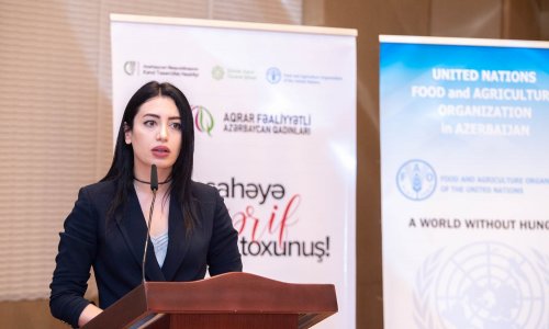 Azerbaijan to export agricultural products under new brand