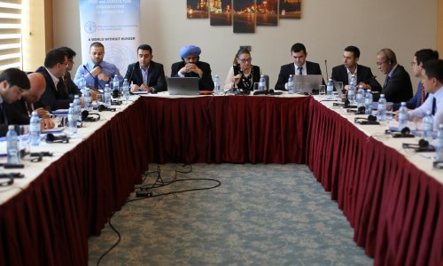 FAO holds regional planning workshop on development of national agricultural export strategies in Azerbaijan, Tajikistan, and Uzbekistan (PHOTO)