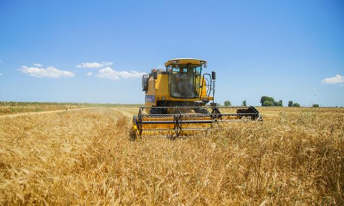 Grain harvest completed on about 800,000 ha of Azerbaijani fields as of July 3