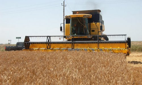 Output of agricultural products in Azerbaijan growing