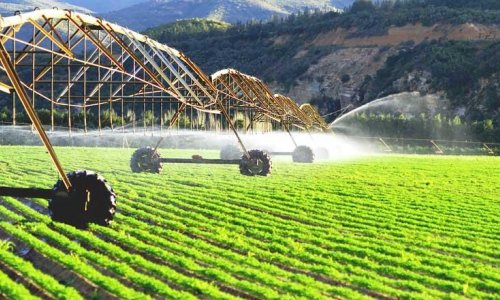 How bidaicoin will change agriculture of Kazakhstan (Exclusive)