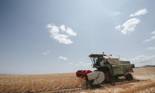 Grain harvesting continues in Azerbaijan