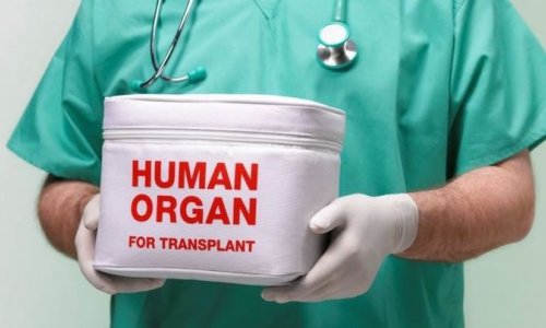 Заур Алиев: О искусственном оплодотворении и трансплантации органов