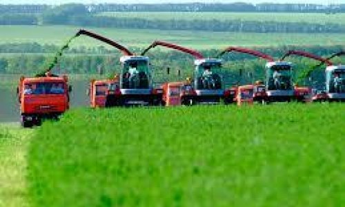 Azerbaijan posts 6.3% growth in agricultural production