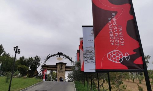 First-ever Grape and Wine Festival underway in Azerbaijan (PHOTO)