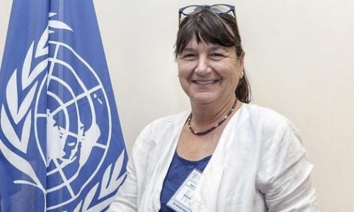 UN special rapporteur to visit Azerbaijan