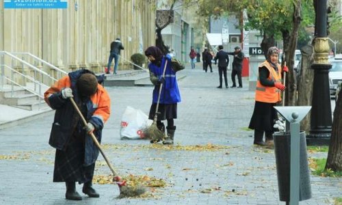 Deputat kürkünü geyinib küçəni süpürdü, tənqid edildi - FOTO