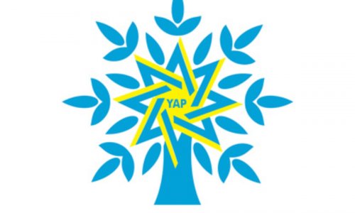 YAP-da kadr dəyişikliyi: Üç nəfər yeni vəzifəyə seçildi