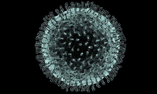 Число жертв коронавируса в мире превысило 140 тыс.