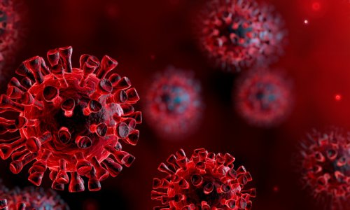 В Оксфорде начинают тестирование вакцины от коронавируса