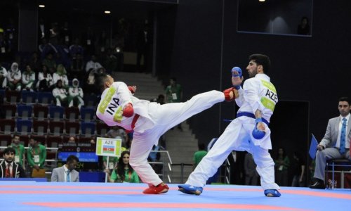 Karate yarışlarının keçirilməsinin mümkün variantları müzakirə olundu