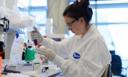 Вакцину Pfizer и BioNTech могут допустить на рынок уже в октябре