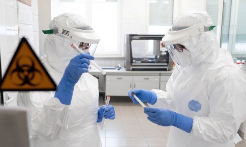 Ученые предупредили о новом варианте коронавируса в Европе