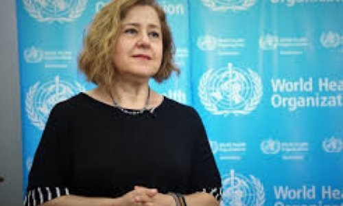 Представитель ВОЗ в Азербайджане вакцинировалась от COVİD-19