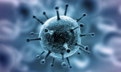 Ученые выделили гены, которые влияют на защиту от коронавируса