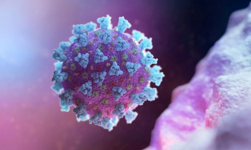 В ВОЗ рассказали о реальном числе смертей от коронавируса в мире
